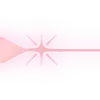 ✨