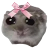 🐹