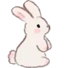 🐰