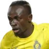 🇸🇳