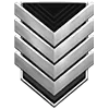 🎖