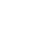 💡