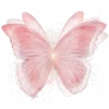 🦋