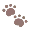 🐾