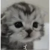 ☹️