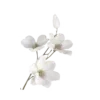 🤍