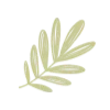 🌱
