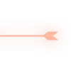 ✨