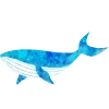🐋