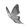 🦋