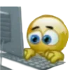 💻