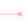 ✨