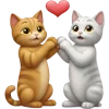 🐈