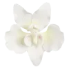 🌸