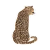 🐆