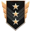 🎖
