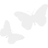 🦋