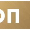 🟠