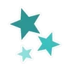 🌟