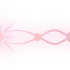 ✨