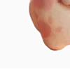 🫴