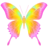 🦋