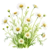 🌿