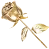 🌹