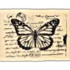 🦋