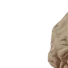 🗿