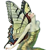 🦋