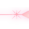 ✨