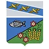 🐟