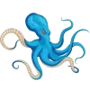🐙