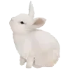 🐇