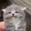 😱