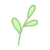🌱