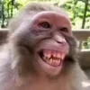 🐒