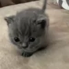 🥰