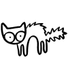 🙀