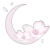 🌙