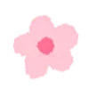 🌺
