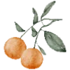 🍊
