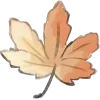 🍁