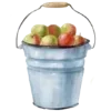 🍎