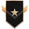 🎖