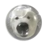 🐻‍❄️