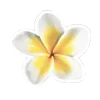 🌼