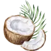 🥥
