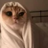 🌝